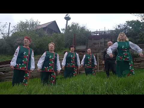 Видео: "Лелеки білокрилі" "Коблівчанка"