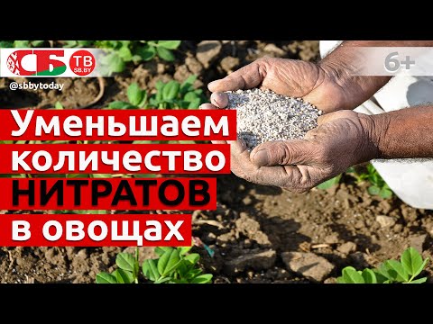 Видео: Азот в почве. Простой способ уменьшить содержание нитратов в овощах и фруктах
