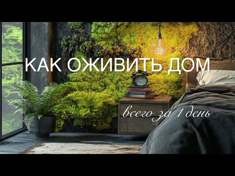 Видео: Как за1 день добавить дому природности? 7 приемов от нейроархитектора.#дизайнинтерьера #гармония