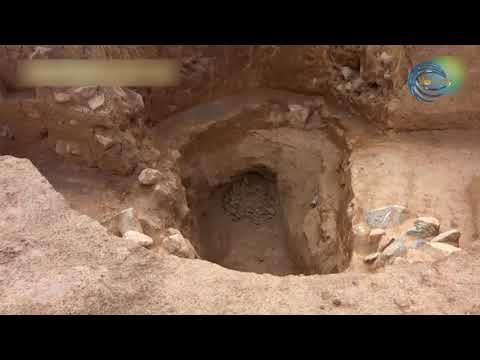 Видео: ЭКОРЕЙД / ЕҢБЕКШІҚАЗАҚ АУДАНЫ / 22.05.2022