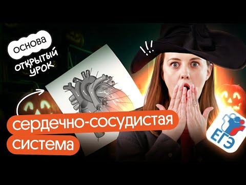 Видео: ♥️ Всё о СЕРДЕЧНО-СОСУДИСТОЙ СИСТЕМЕ |ЕГЭ по биологии 2025