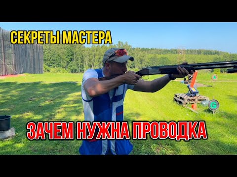 Видео: 11 ноября 2025 г.