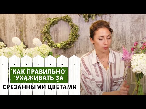 Видео: Как ухаживать за срезанными цветами. 5 советов флориста