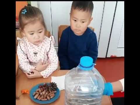 Видео: “Мен зерттеушімін” байқауы. Тәрбиеші: Аширбекова Г.А