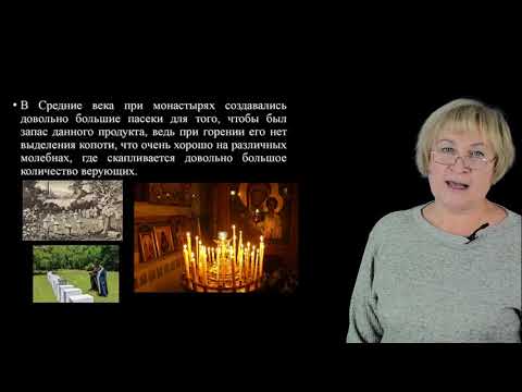 Видео: Владимцева Т.М. История воска