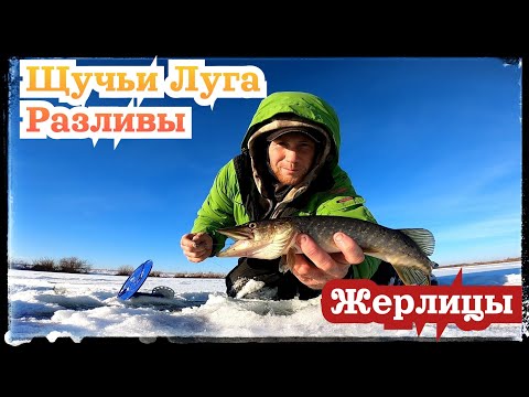 Видео: Щука на Жерлицы. Заливные луга реки Тобол.