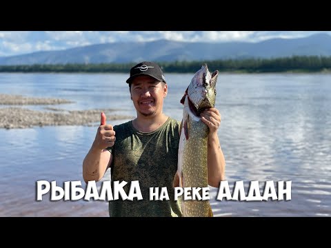Видео: Рыбалка на реке Алдан. Поймали много щук