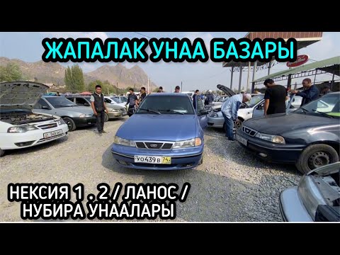 Видео: Ош Жапалак Унаа Базары 08_10_2023