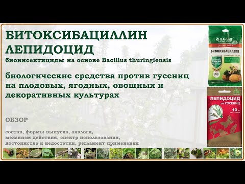 Видео: Битоксибациллин и Лепидоцид - биологические инсектициды против гусениц и других вредителей. Обзор