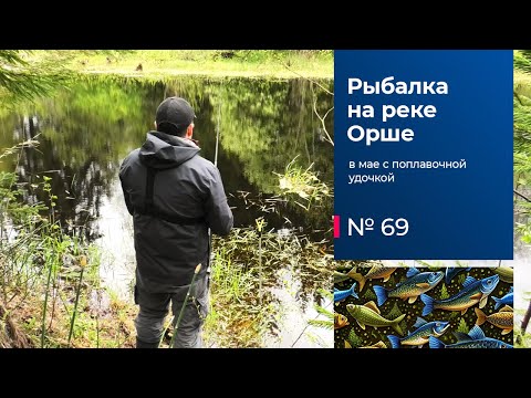 Видео: 69 / Рыбалка на реке Орше / Поплавочная удочка / Тверская область / Май