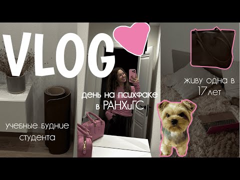 Видео: VLOG I МОЙ ДЕНЬ В РАНХиГС I ПСИХФАК I ЖИВУ ОДНА В 17 ЛЕТ