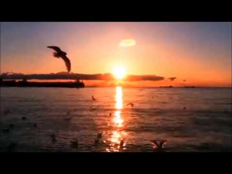 Видео: 8th - †•†•† - [БЕЗ]КОНЕЧНОСТИ