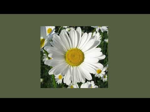 Видео: Океан Ельзи- Квітка( speed up)