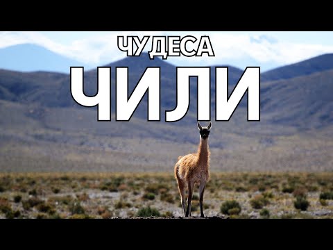 Видео: ЧУДЕСА ЧИЛИ О КОТОРЫХ ТЫ ДАЖЕ НЕ ПОДОЗРЕВАЛ | ЛУЧШИЕ МЕСТА В 4K | 🌶️Что есть в Чили кроме перца?