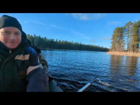 Видео: 18 октября 2025 г.