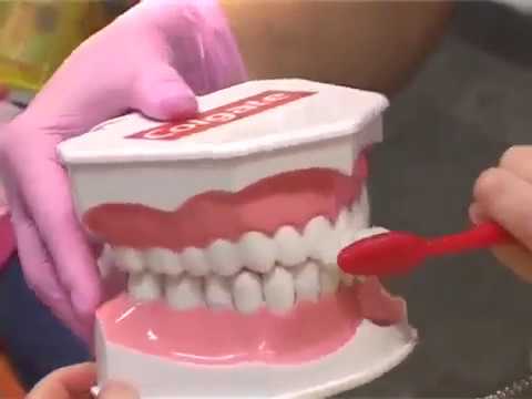 Видео: Как правильно чистить зубы