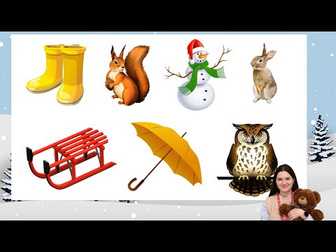 Видео: Занятие по развитию речи. Квест-игра «Помоги Медвежонку»