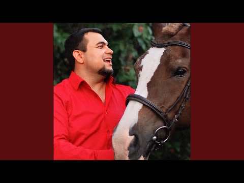 Видео: Катуна