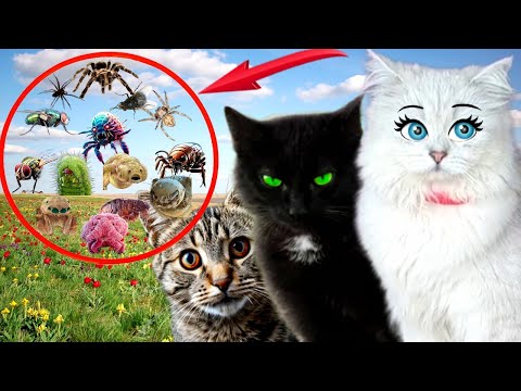 Видео: ЛЕТО – это ОПАСНО! Кошки Спешат на ПОМОЩЬ! Подряд 5 опасных видео