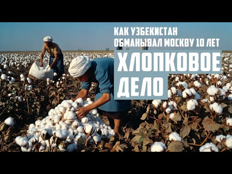 Видео: Хлопковое дело 1983 года | Как Узбекистан обманывал Москву 10 лет
