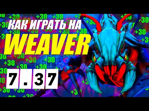 Видео: Разбор реплея(гайд) на ВИВЕРА от 9.2к игрока | ИЗИ ММР | 7.37 | Wolcodoom Weaver DOTA 2