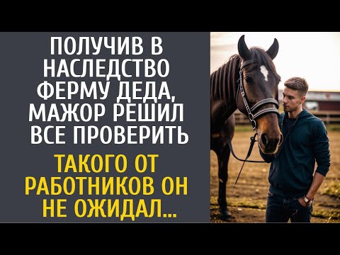 Видео: Получив в наследство ферму деда, мажор решил все проверить… Такого от работников он не ожидал…