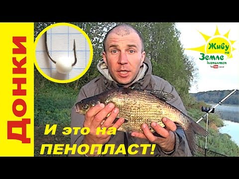 Видео: РЫБАЛКА с НОЧЕВКОЙ. ДОНКА КРОКОДИЛ. ПЕНОПЛАС РУЛИТ!