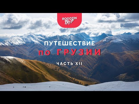 Видео: Одиночное путешествие по Грузии. Часть 12. Пещерный город Уплисцихе. Атака гюрзы.