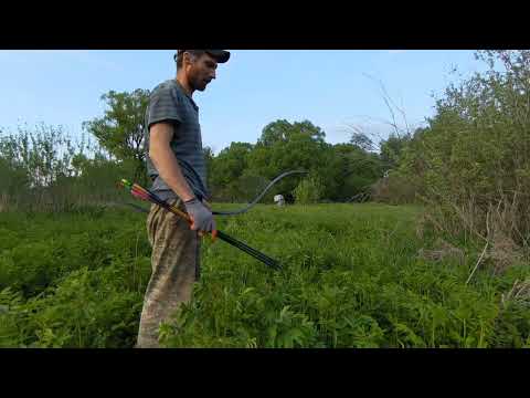 Видео: Без названия
