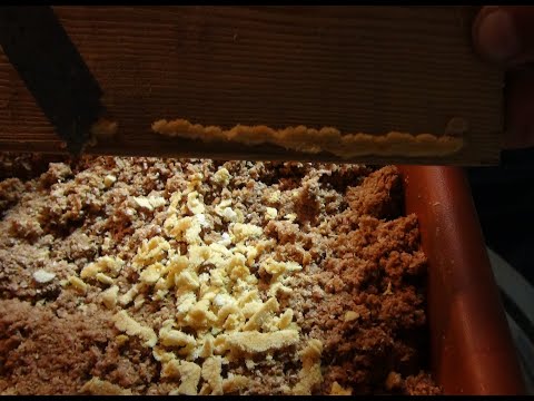 Видео: Возбудитель для Мух.