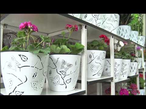 Видео: 20 мин сом менен башталган гул бизнес,учурда киреше миллион сомго жеткен