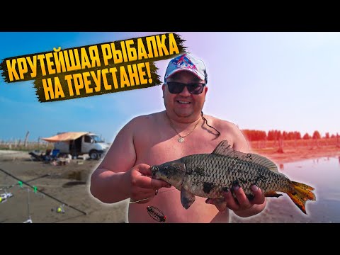 Видео: КРУТЕЙШАЯ РЫБАЛКА НА КАРПА. СЕЗОН ШАШЛЫКОВ ОТКРЫТ. НАСТОЯЩИЙ РАЙ НА ЗЕМЛЕ.