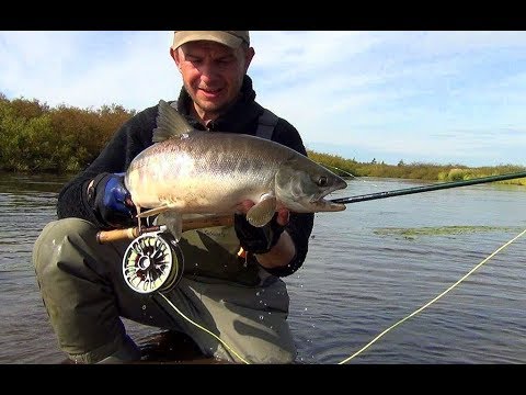 Видео: Skagit Booster от Kola-Salmon. Оснащение и применение под различные условия ловли.