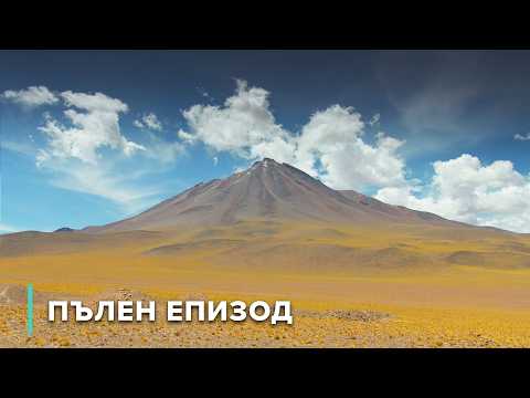 Видео: Чилийската пустиня Атакама: Вулкани, солени равнини и дюни | Непознати пейзажи 102