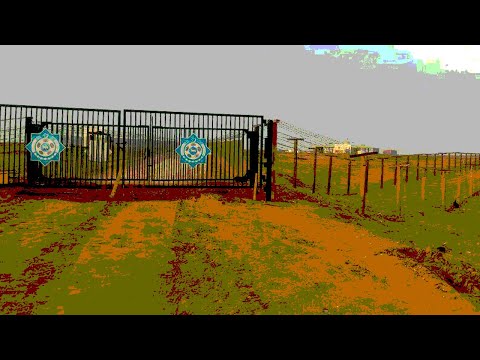 Видео: Туркменистан: В Гарабогазе главврач больницы наладила контрабанду сигарет, но наказания избежала