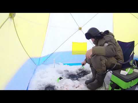 Видео: Зимняя рыбалка в палатке. Рыбалка на Воронежском водохранилище.