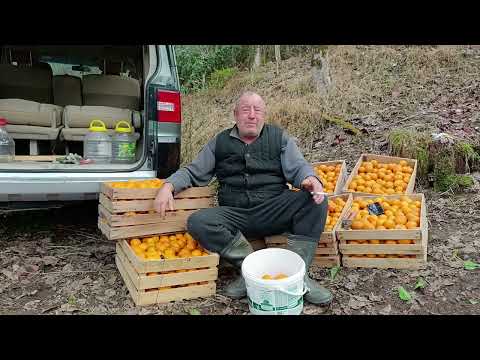 Видео: Грузин рассказал как он ходил в самоволку в СОВЕТСКОЙ АРМИИ