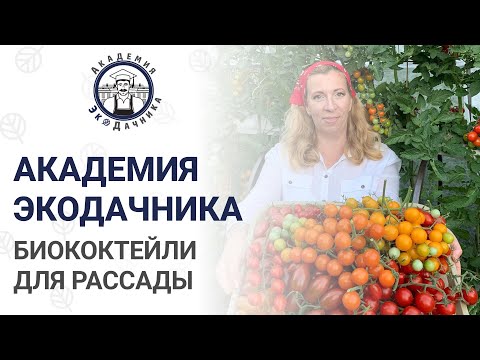 Видео: РЕЦЕПТЫ ЭФФЕКТИВНЫХ КОКТЕЙЛЕЙ| 4 ЛЕКЦИЯ  | АКАДЕМИЯ ЭКОДАЧНИКА