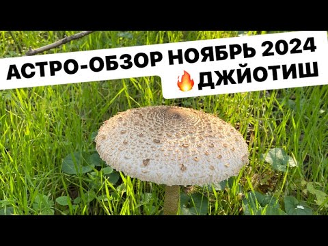 Видео: АСТРО - ОБЗОР НОЯБРЬ 2024 ДЖЙОТИШ !