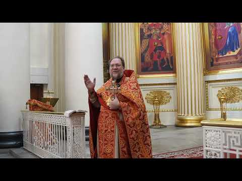 Видео: Неделя о Фоме. Вдогонку