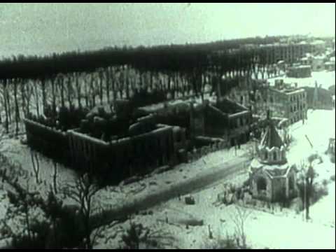 Видео: Город над вольной Невой