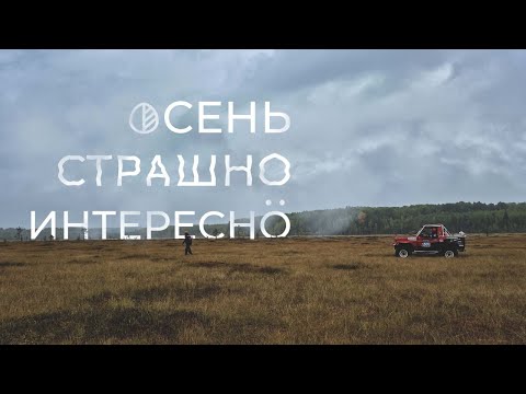 Видео: Вепсский лес 2025