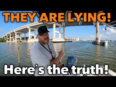 Видео: ОШИБАЕТЕСЬ, когда речь заходит о том, чтобы проплыть мимо этого моста с рыбой!