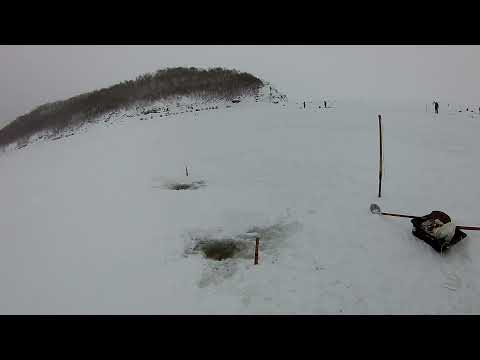 Видео: РЫБАЛКА на АМУРЕ!!! Ловим даже осетра!