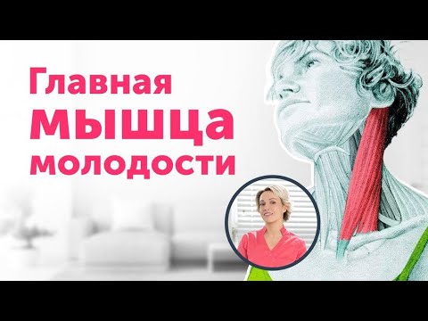 Видео: Главная мышца МОЛОДОСТИ: как избежать морщин и отёков + приём