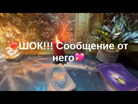 Видео: 10 ноября 2025 г.