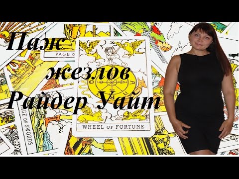 Видео: Пажи значение Паж скипетров Значение придворных карт Уроки в школе золотого таро