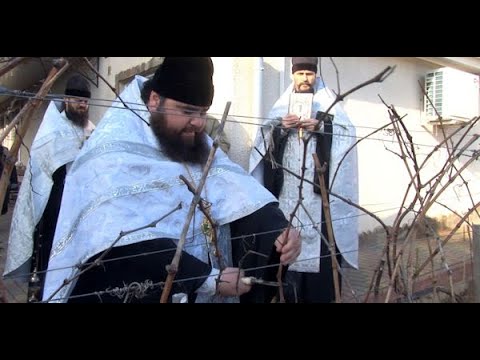 Видео: Трифон Зарезан в  г Твардица 2022г