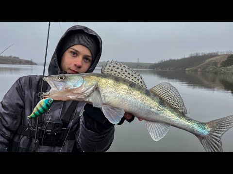 Видео: СУДАКИ на РАТЛІН!!!