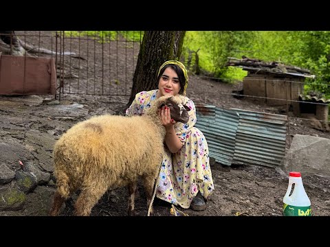 Видео: Настоящая жизнь в иранской деревне! Домашняя еда в горной деревне